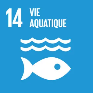 Vie aquatique