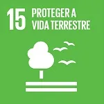 Vida terrestre