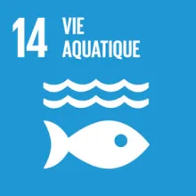 Vie aquatique