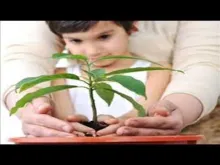Embedded thumbnail for The environment 
